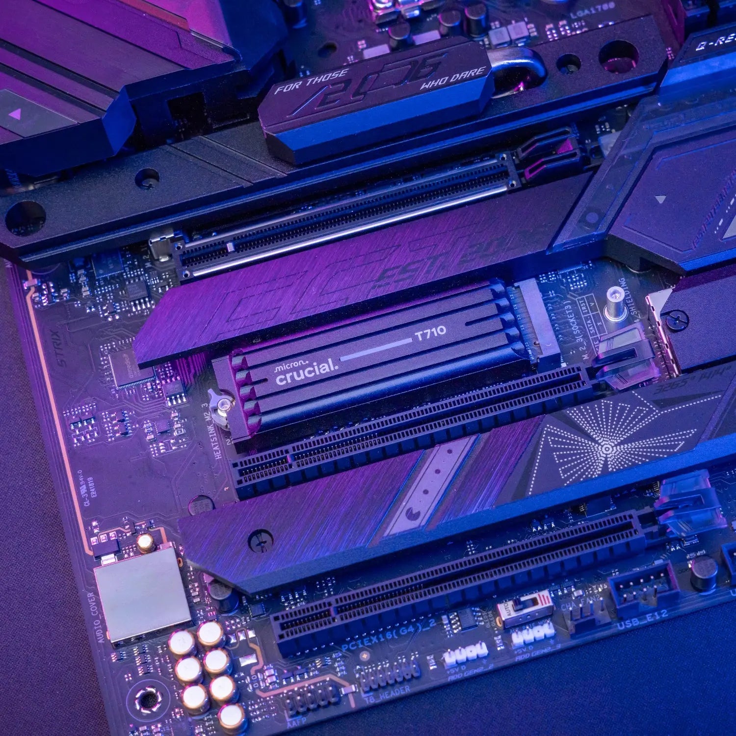 Crucial T710 2TB M.2 NVMe Gen5 NAND SSD with Heatsink