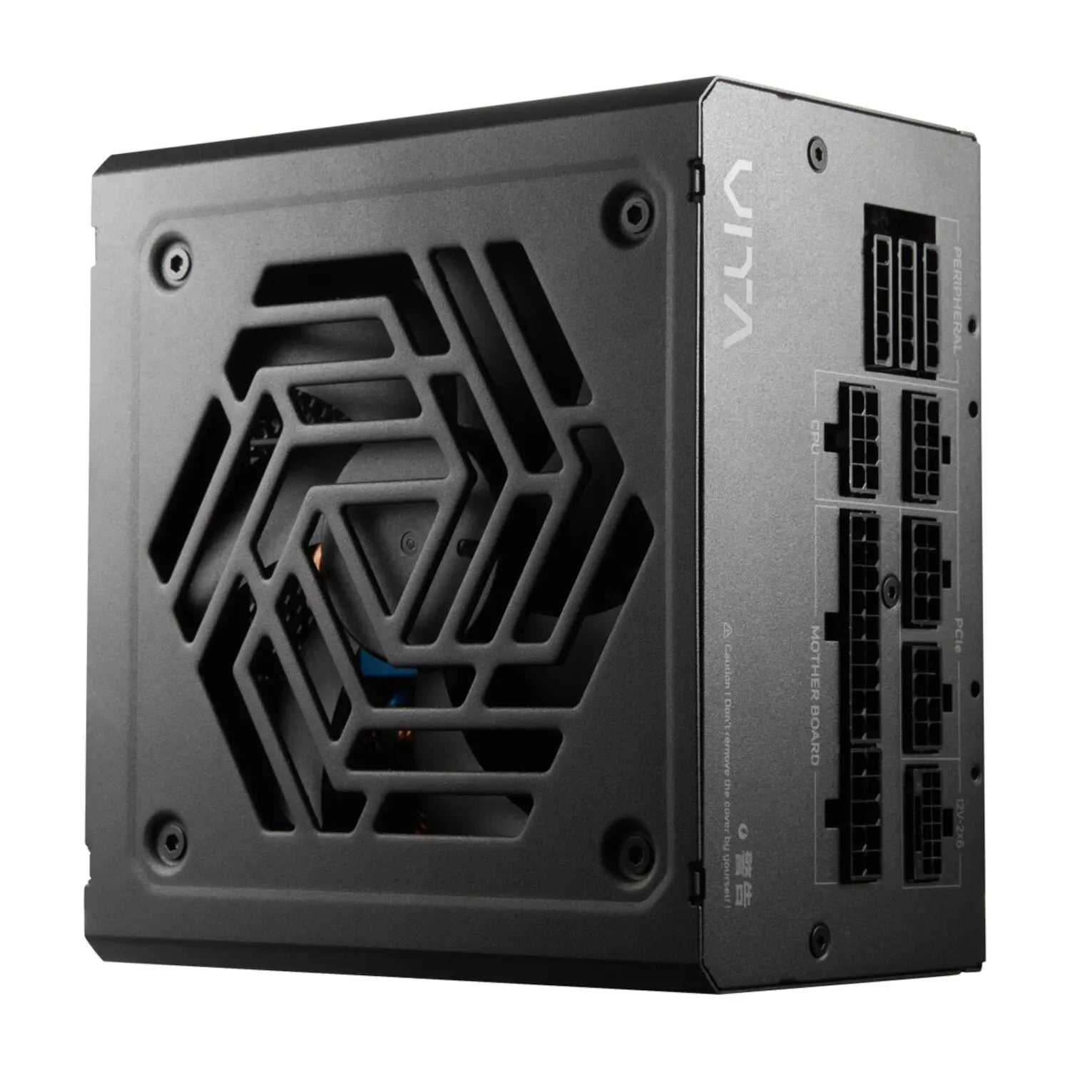 FSP VITA GM 1000W Gold Power Supply - ATX 3.1, PCIe 5.1, 80 Plus Gold